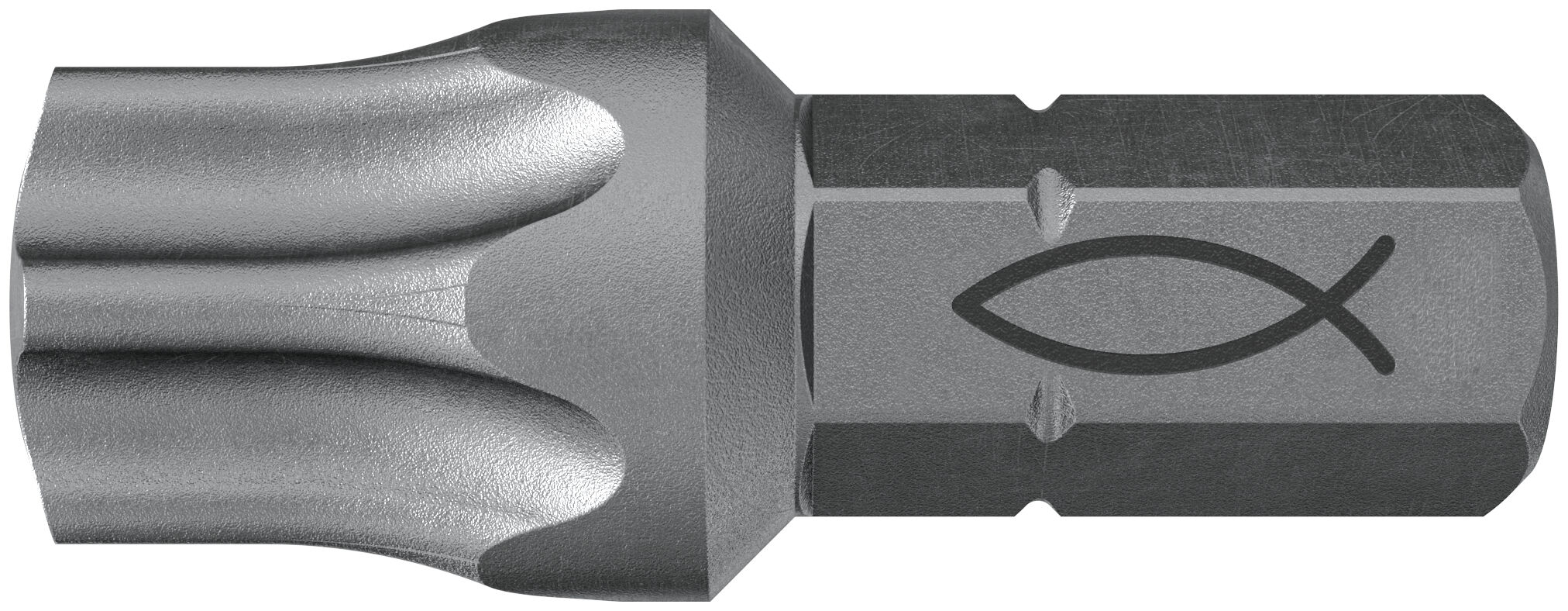 fischer FPB TX50 ProfiBit